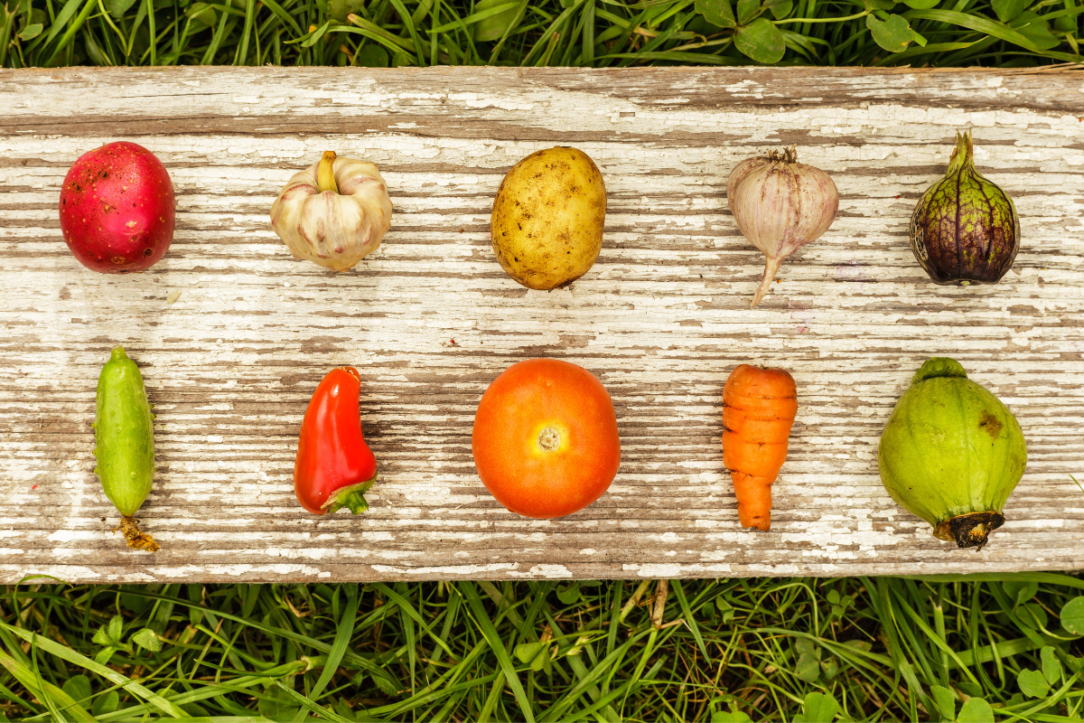 alimentazione autunno
